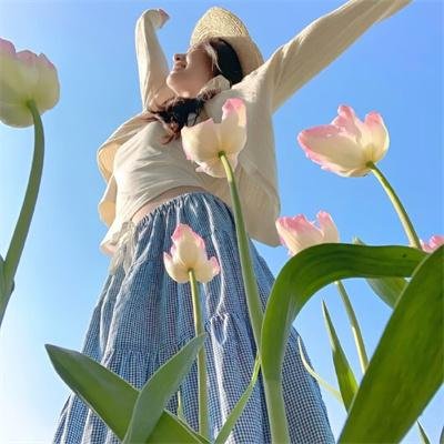 毒帮家族